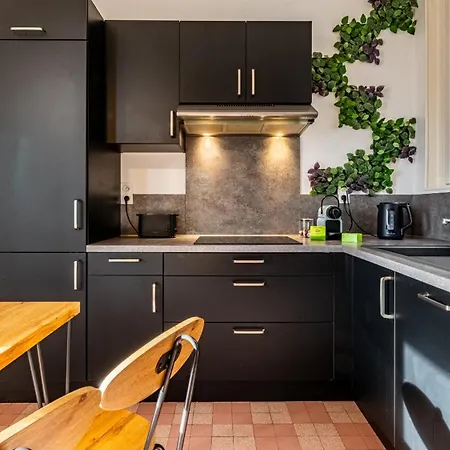 Les Toits De Darcy - Centre Historique Apartment