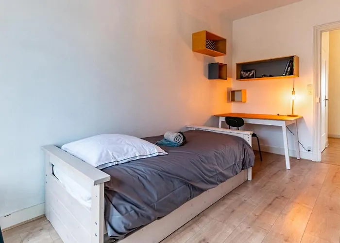 Les Toits De Darcy - Centre Historique Apartamento