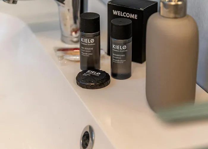 Les Toits De Darcy - Centre Historique ディジョン