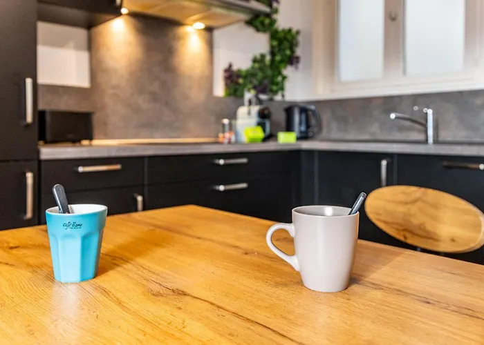 Les Toits De Darcy - Centre Historique